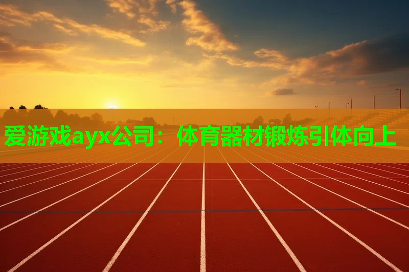 爱游戏ayx公司：体育器材锻炼引体向上