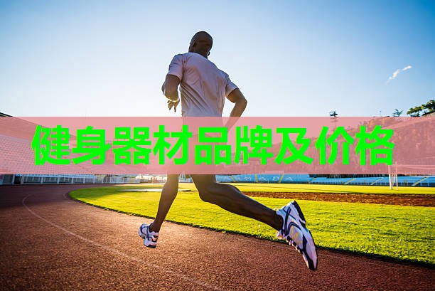 健身器材品牌及价格