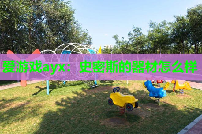 爱游戏ayx：史密斯的器材怎么样