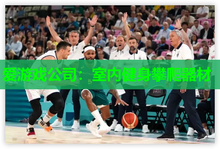 爱游戏公司：室内健身攀爬器材