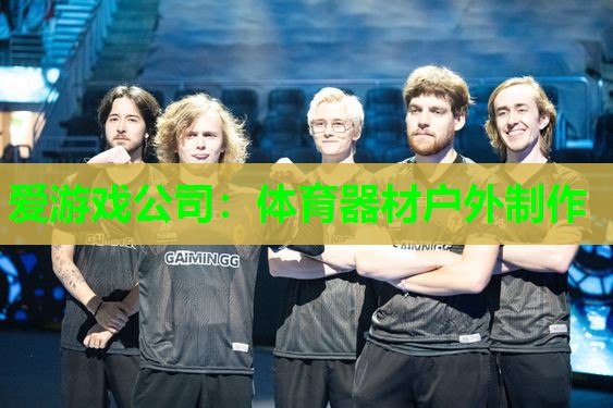 爱游戏公司：体育器材户外制作