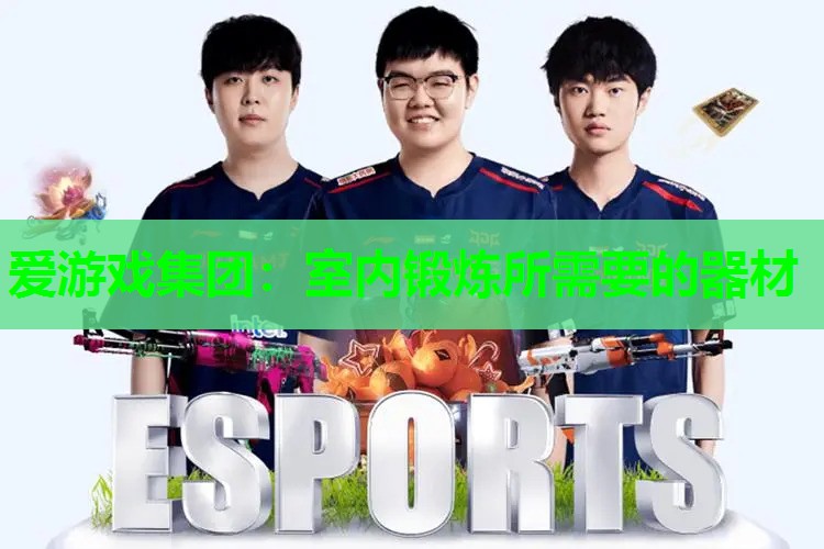 爱游戏集团：室内锻炼所需要的器材
