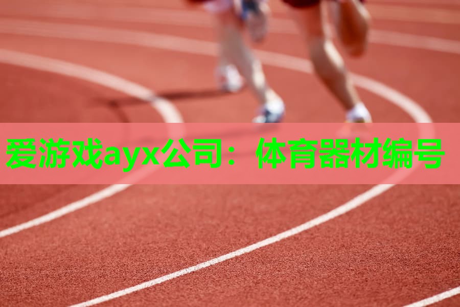 爱游戏ayx公司：体育器材编号