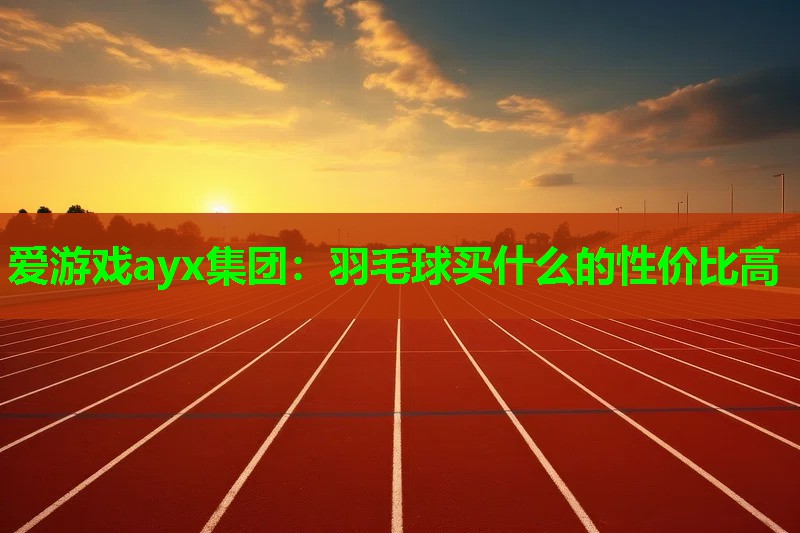 爱游戏ayx集团：羽毛球买什么的性价比高