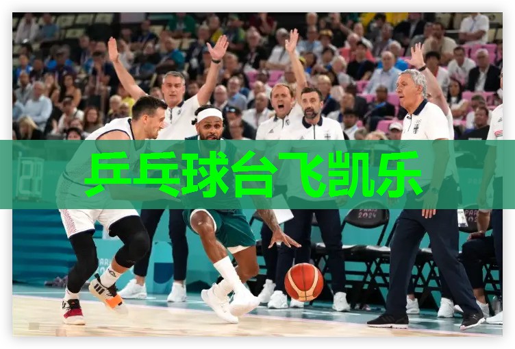 乒乓球台飞凯乐 乒乓球台飞凯乐
