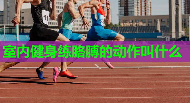 室内健身练胳膊的动作叫什么 室内健身练胳膊的动作叫什么