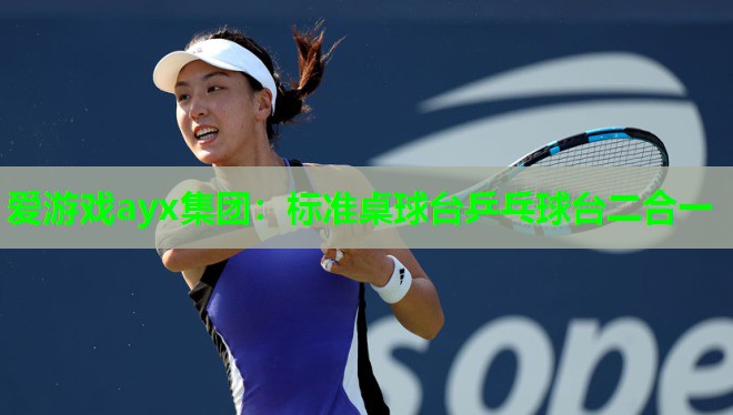 标准桌球台乒乓球台二合一 标准桌球台乒乓球台二合一