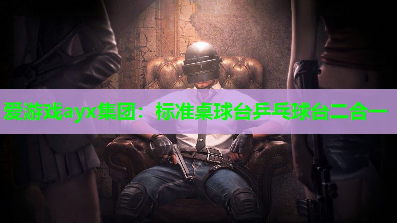 标准桌球台乒乓球台二合一 标准桌球台乒乓球台二合一