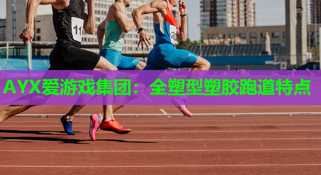 全塑型塑胶跑道特点 全塑型塑胶跑道特点