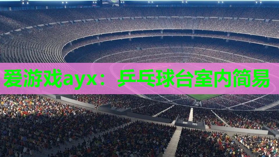 乒乓球台室内简易 乒乓球台室内简易
