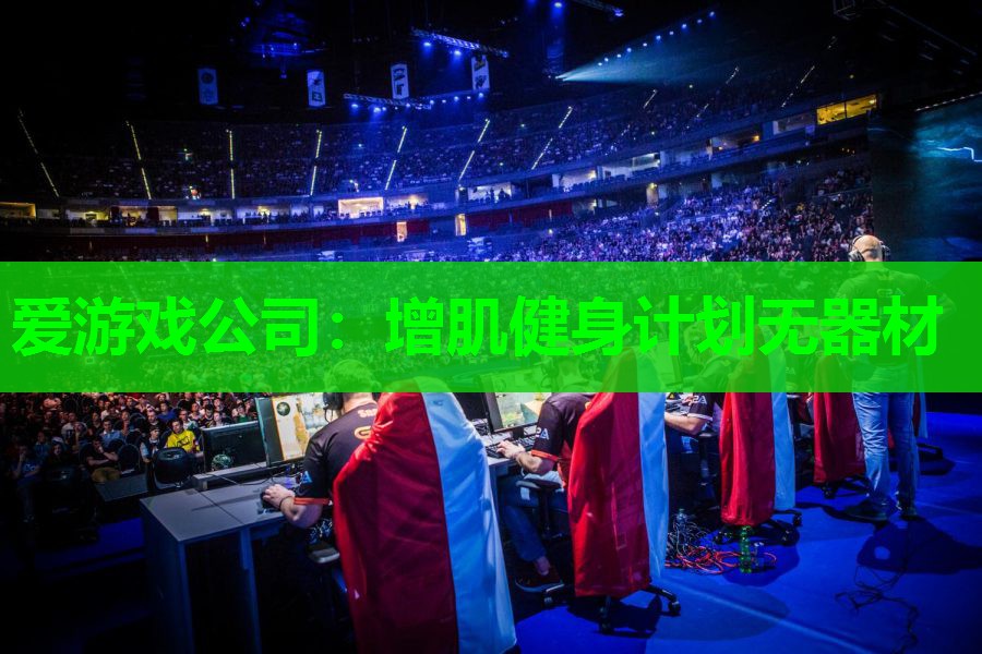 增肌健身计划无器材 增肌健身计划无器材