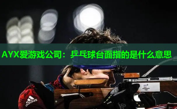 乒乓球台面指的是什么意思