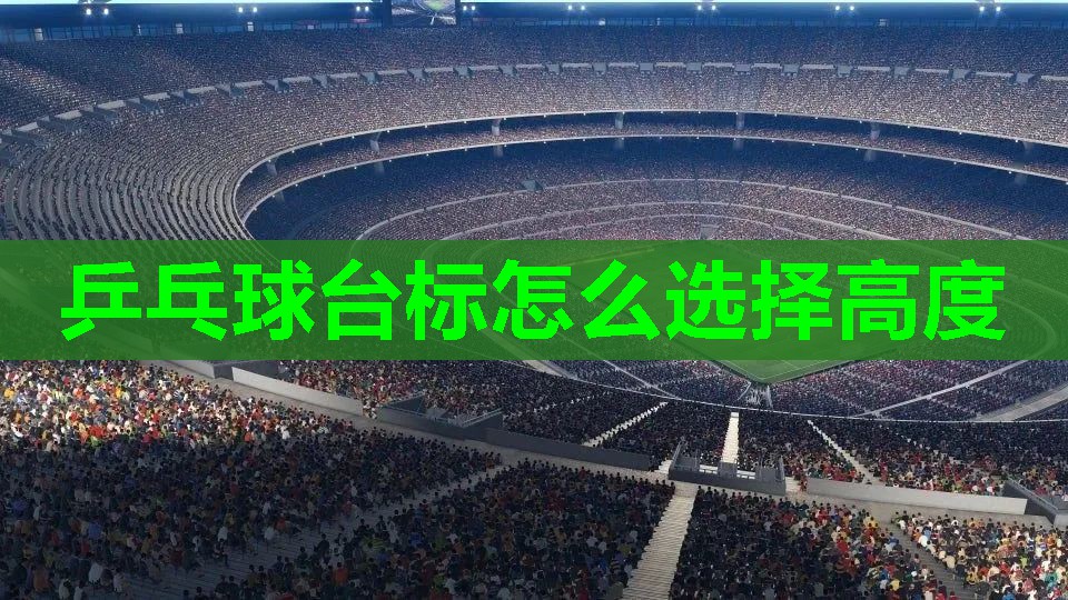 乒乓球台标怎么选择高度 乒乓球台标怎么选择高度