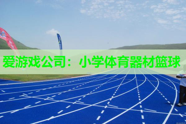 小学体育器材篮球 小学体育器材篮球