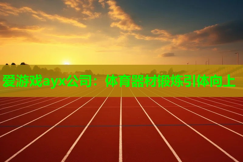 体育器材锻炼引体向上 体育器材锻炼引体向上