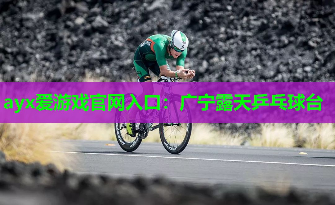 广宁露天乒乓球台 广宁露天乒乓球台