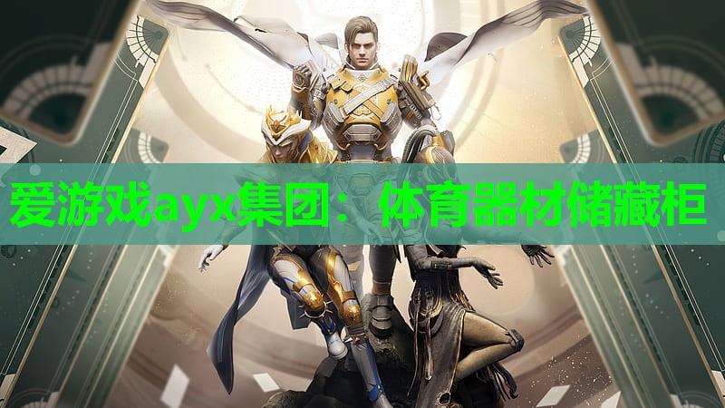 体育器材储藏柜 体育器材储藏柜