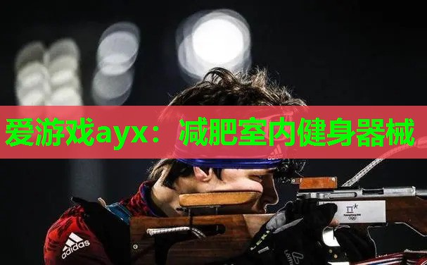 减肥室内健身器械 减肥室内健身器械