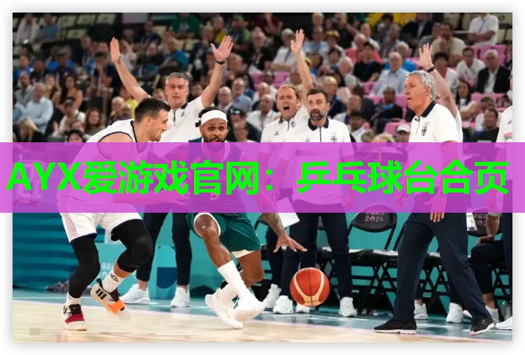 乒乓球台合页 乒乓球台合页