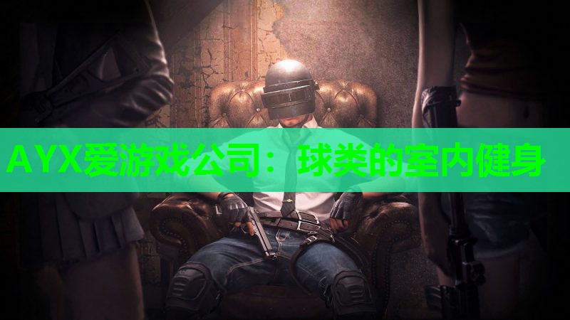 球类的室内健身 球类的室内健身