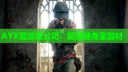 篮球健身室器材 篮球健身室器材