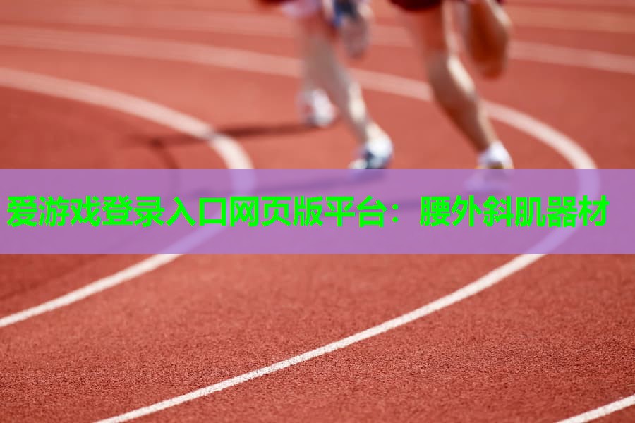 腰外斜肌器材 腰外斜肌器材