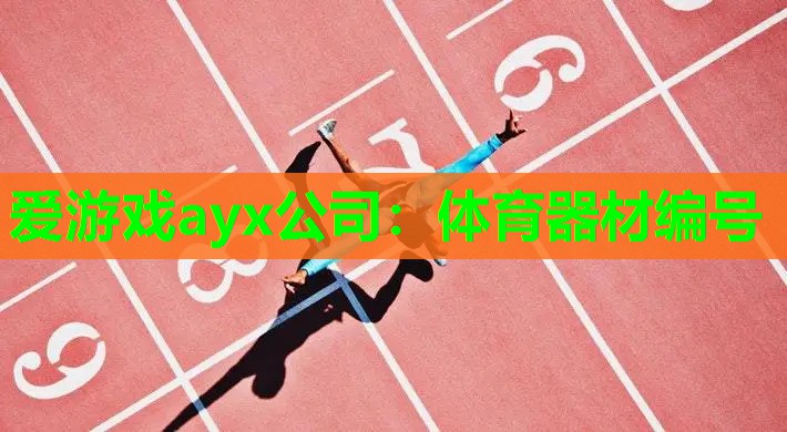 体育器材编号 体育器材编号