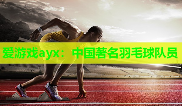 中国著名羽毛球队员 中国著名羽毛球队员