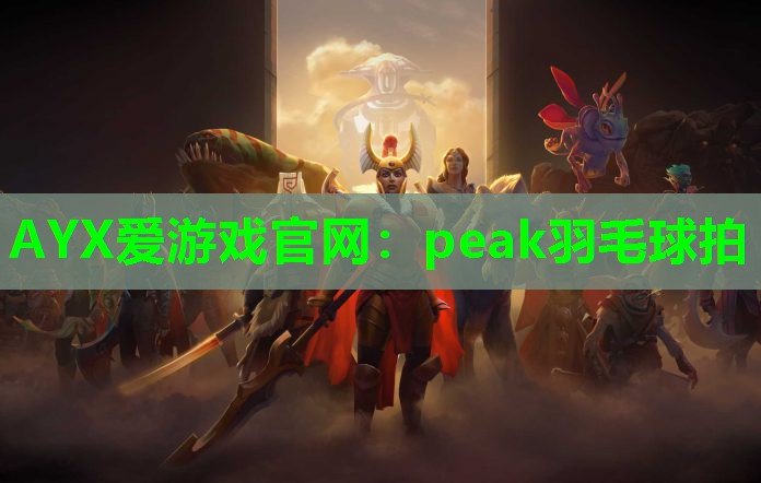 peak羽毛球拍 peak羽毛球拍