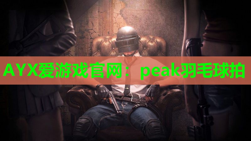 peak羽毛球拍 peak羽毛球拍