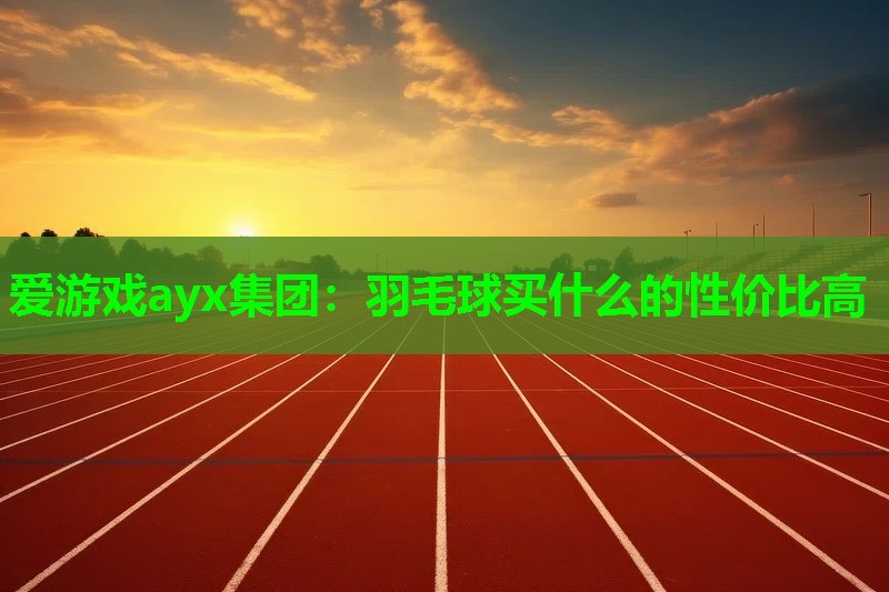 羽毛球买什么的性价比高 羽毛球买什么的性价比高