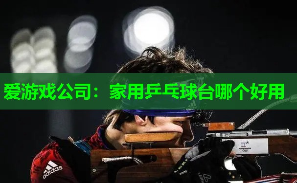 家用乒乓球台哪个好用 家用乒乓球台哪个好用