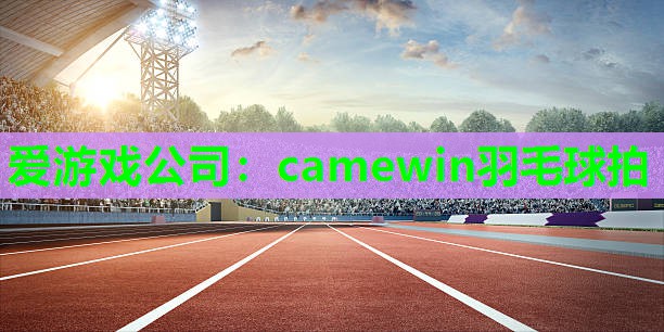 camewin羽毛球拍 camewin羽毛球拍