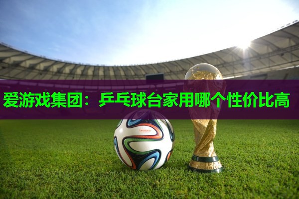 乒乓球台家用哪个性价比高 乒乓球台家用哪个性价比高