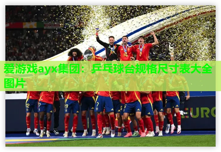 乒乓球台规格尺寸表大全图片 乒乓球台规格尺寸表大全图片