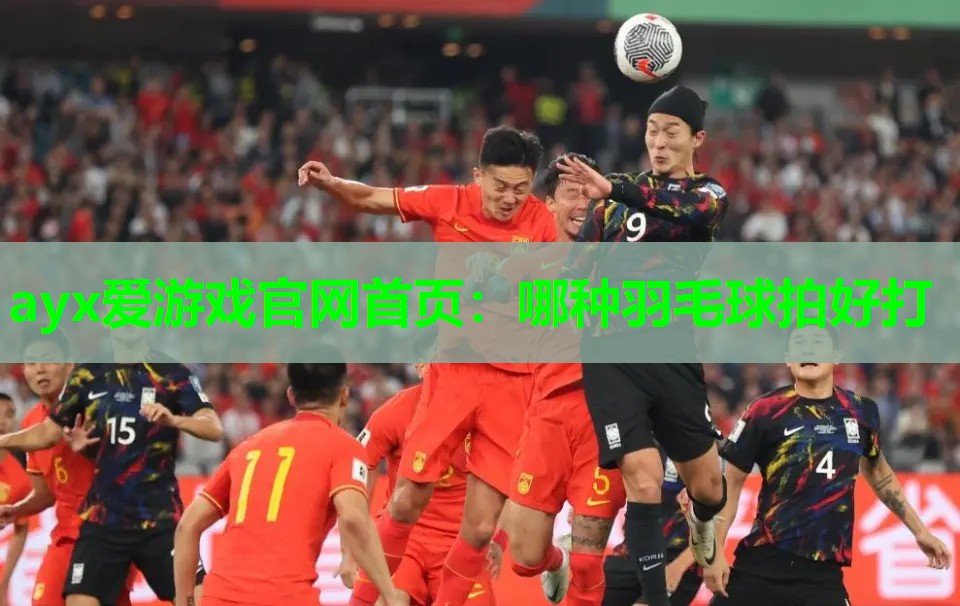 哪种羽毛球拍好打 哪种羽毛球拍好打