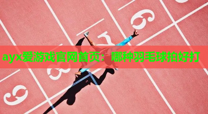 哪种羽毛球拍好打 哪种羽毛球拍好打