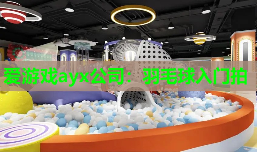 羽毛球入门拍 羽毛球入门拍