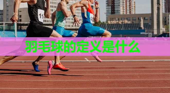羽毛球的定义是什么 羽毛球的定义是什么
