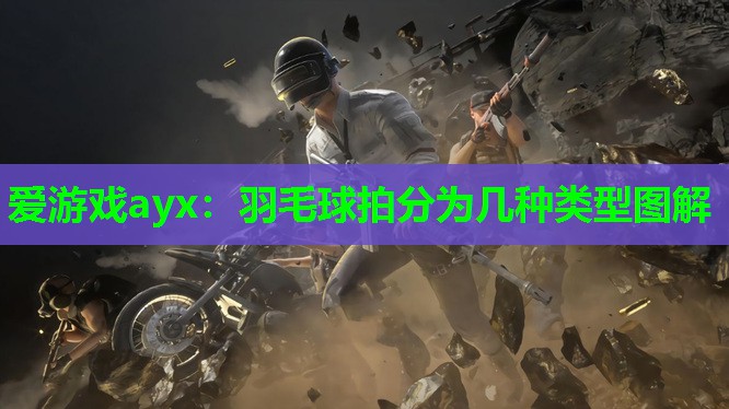 羽毛球拍分为几种类型图解 羽毛球拍分为几种类型图解
