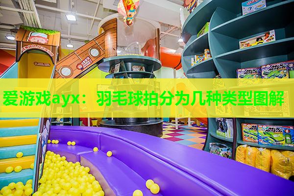 羽毛球拍分为几种类型图解 羽毛球拍分为几种类型图解