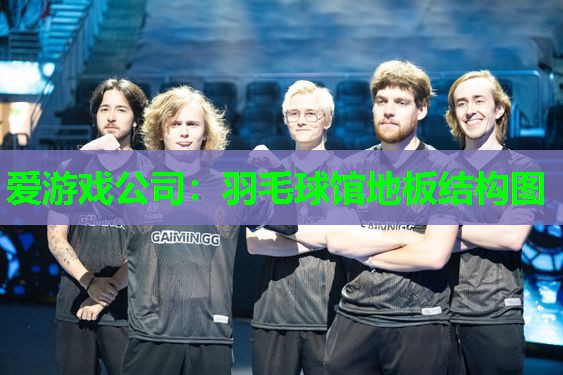 羽毛球馆地板结构图 羽毛球馆地板结构图