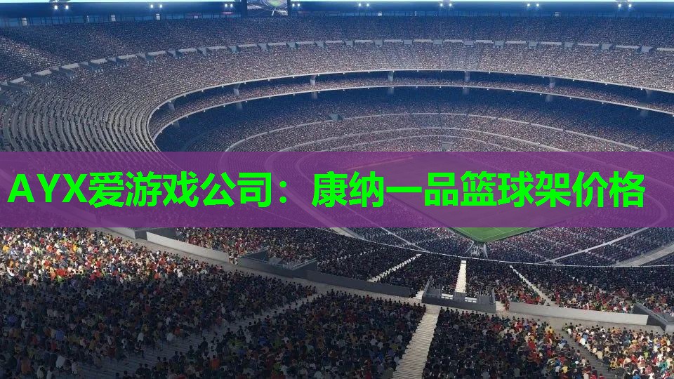 康纳一品篮球架价格 康纳一品篮球架价格