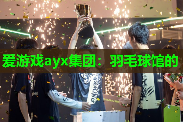 羽毛球馆的 羽毛球馆的
