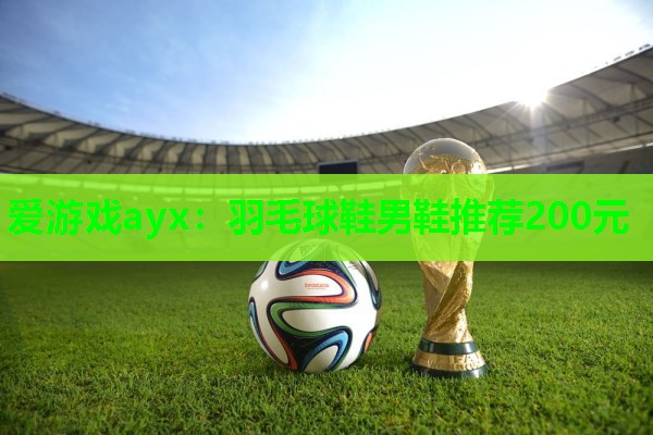 羽毛球鞋男鞋推荐200元 羽毛球鞋男鞋推荐200元