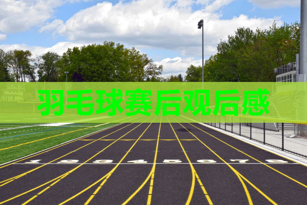 羽毛球赛后观后感 羽毛球赛后观后感